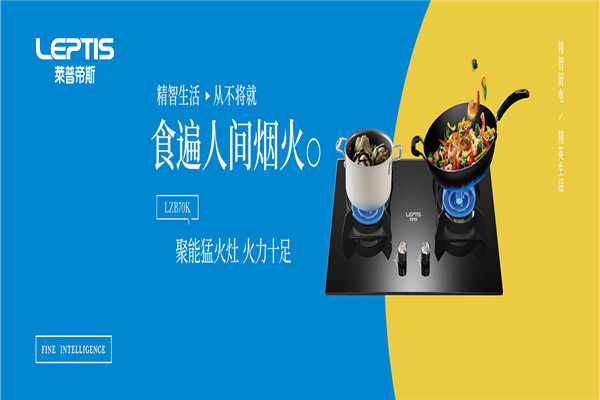 莱普帝斯电器