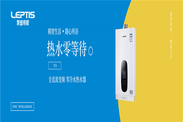 莱普帝斯电器