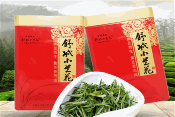 舒城小兰花