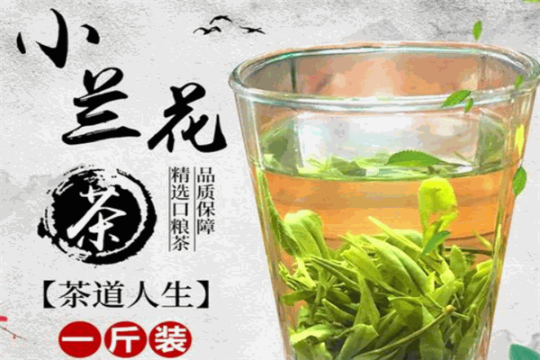 舒城小兰花