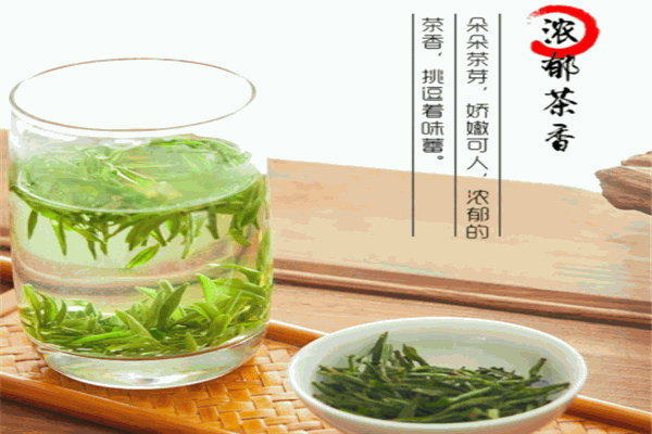 舒城小兰花