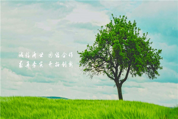 吉贝尔药业