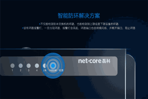 磊科Netcore