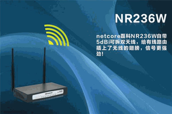 磊科Netcore