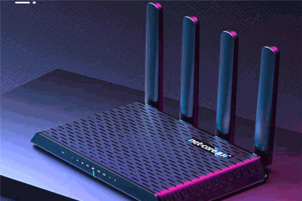 磊科Netcore