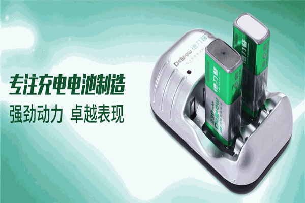 德力普电池