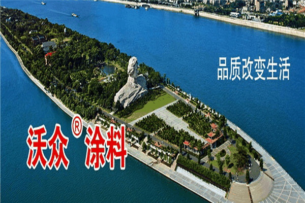 沃众涂料