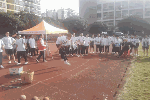 亮道体育教育