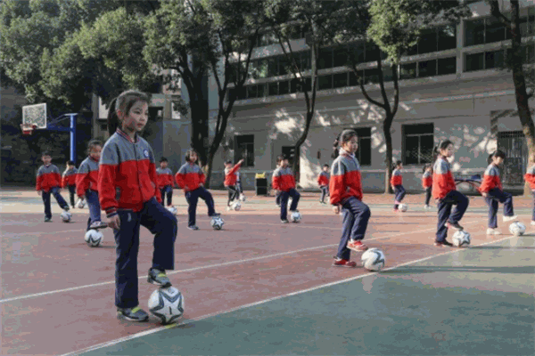 亮道体育教育