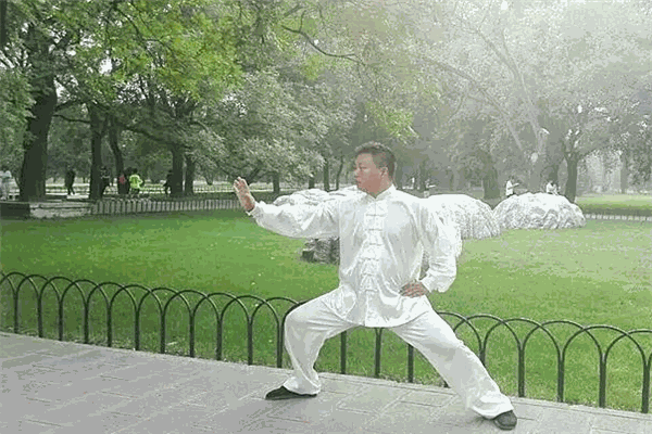 宋志旭太极拳培训