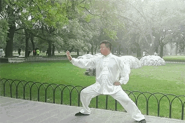 宋志旭太极拳培训