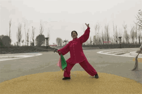 宋志旭太极拳培训