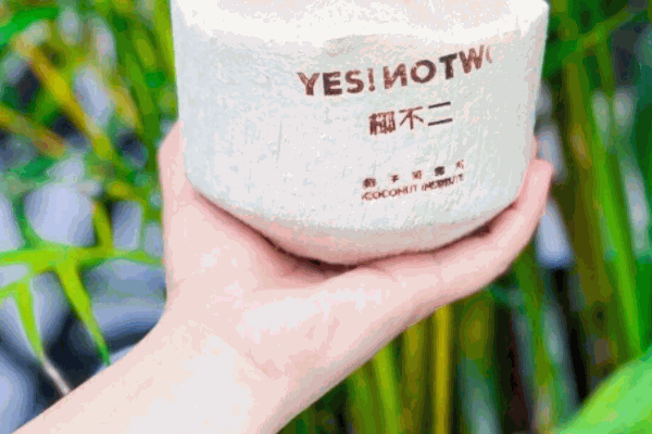 椰不二