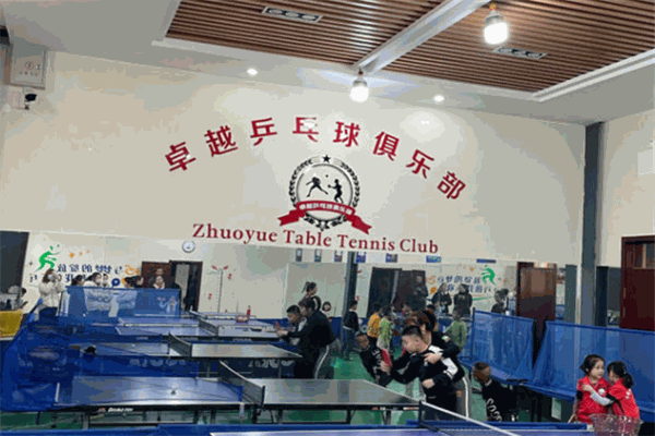 卓越乒乓球培训俱乐部