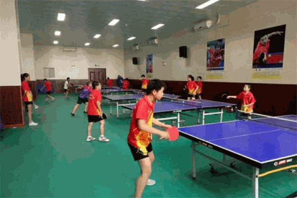 卓越乒乓球培训俱乐部