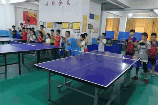 卓越乒乓球培训俱乐部