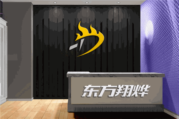​东方翔烨乒乓球教育
