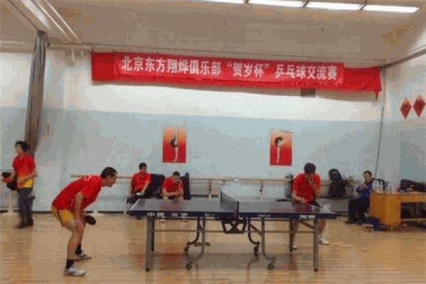 ​东方翔烨乒乓球教育