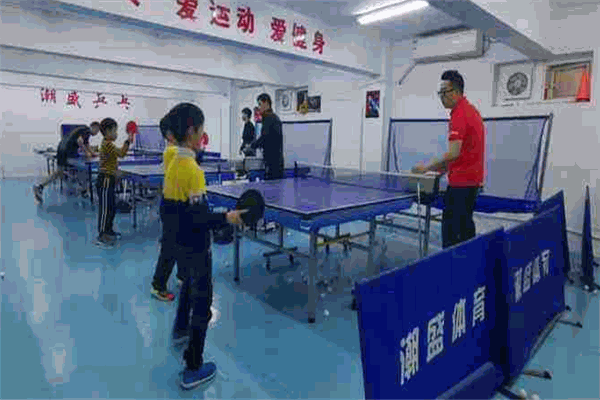 潮盛乒乓球