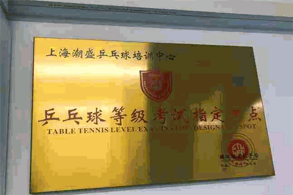 潮盛乒乓球