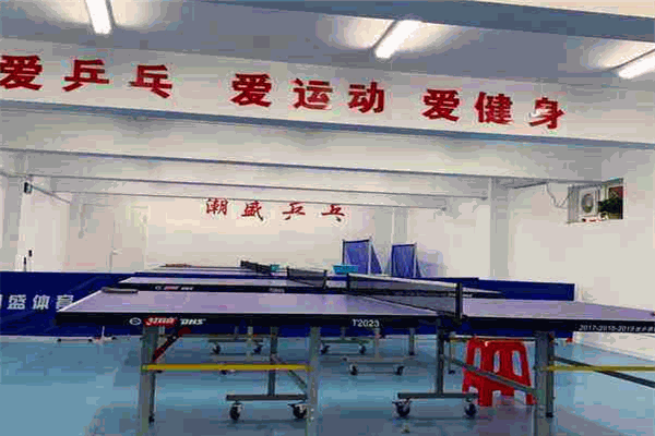 潮盛乒乓球