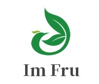 Im Fruit水果冰激凌加盟