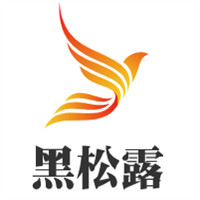 黑松露啤酒加盟