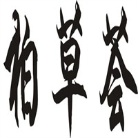 柏草荟生发养发馆加盟