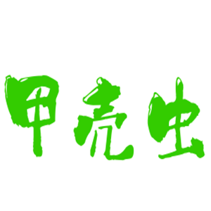 甲壳虫童装加盟