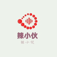 辣小伙加盟