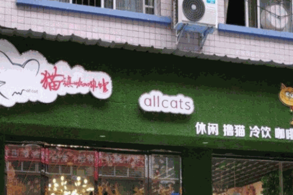 猫镇咖啡