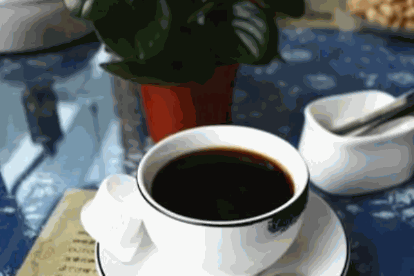 石鹿咖啡