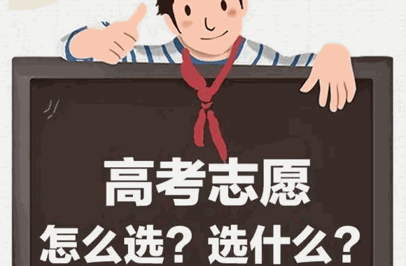高考圈高考志愿填报咨询
