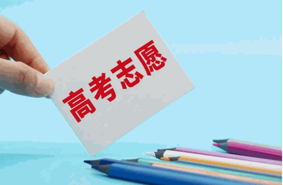 高考圈高考志愿填报咨询