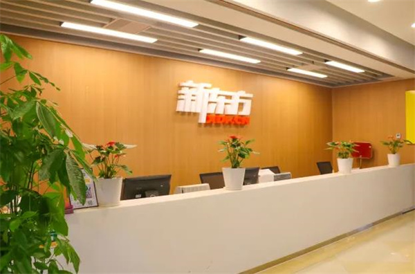 新东方在线教育