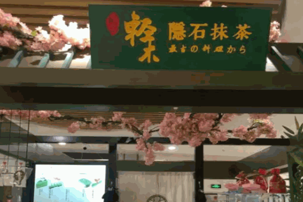 轻木隐石