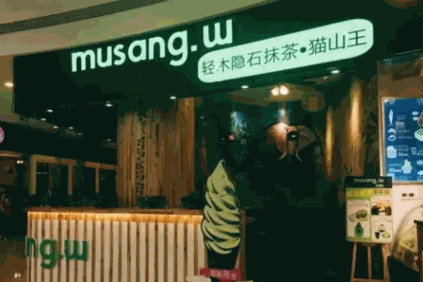 轻木隐石