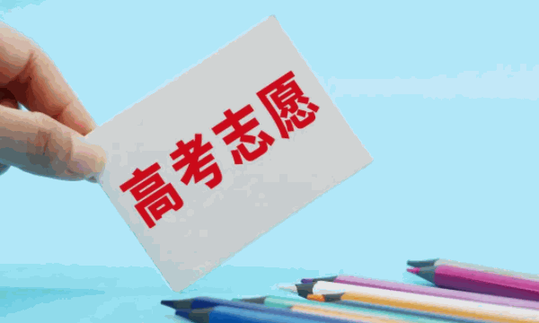 高考圈高考志愿填报咨询