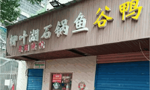 柳叶湖石锅鱼