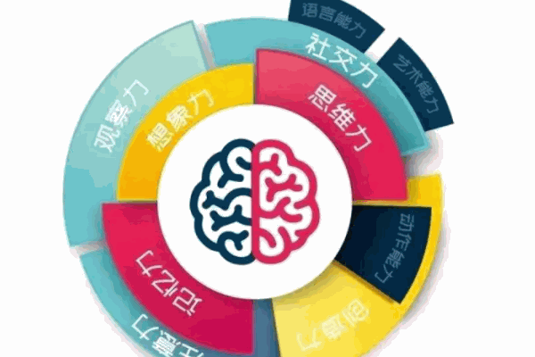 家有儿女全脑开发