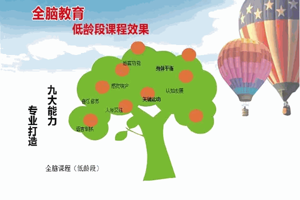 家有儿女全脑开发
