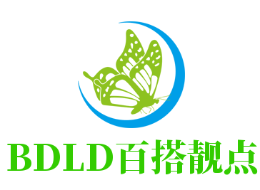 BDLD百搭靓点女装加盟