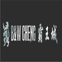 霸王城服饰加盟