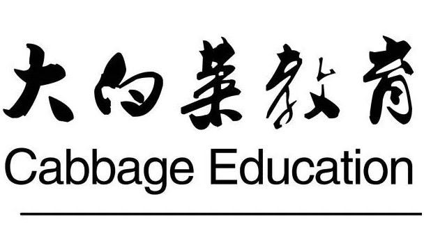 大白菜教育加盟