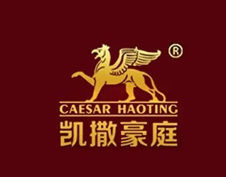 凯撒豪庭背景墙加盟
