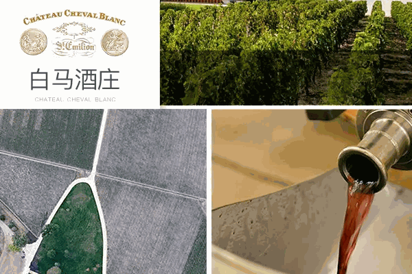 白马酒庄