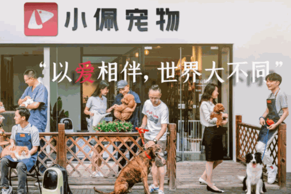 小佩宠物