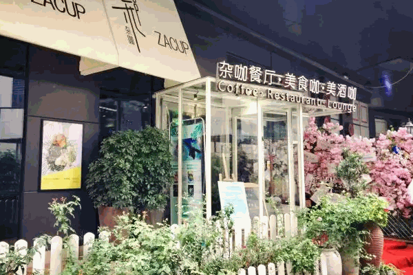 杂咖
