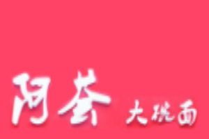 阿荟大碗面加盟