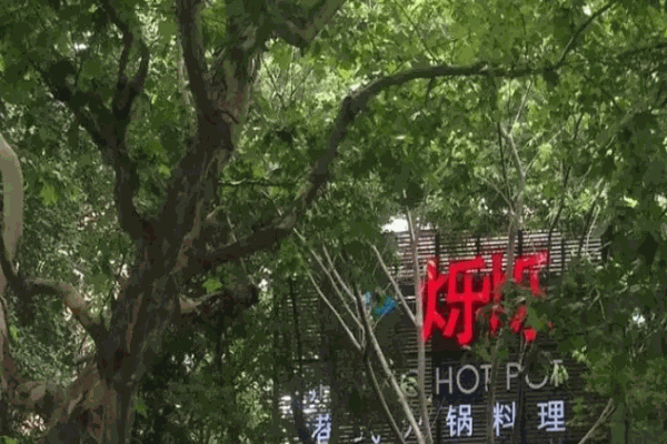 烁烁港式料理火锅